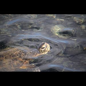 Meet your Posher, Aaron